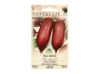 Nostalgie Cvikla šalátová RENOVA valcovitá Nostalgie Cvikla šalátová RENOVA valcovitá