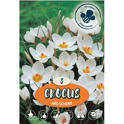 Krókus divý Ard Schenk