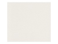 A. S. Creation Pretierateľná vliesová tapeta Meistervlies Creativ biela 182418