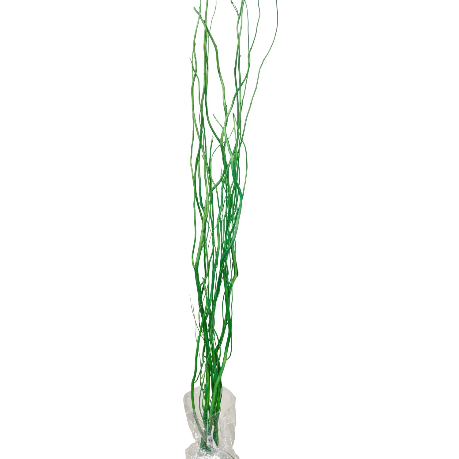 E-shop Star Home Decor Vŕbové vetvičky zväzok Salix pastelovo zelené 120 cm
