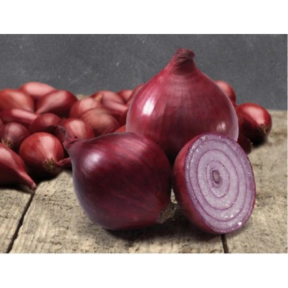 GardenSeed Premium Cibuľa sadzačka Red Kamal 250 g
