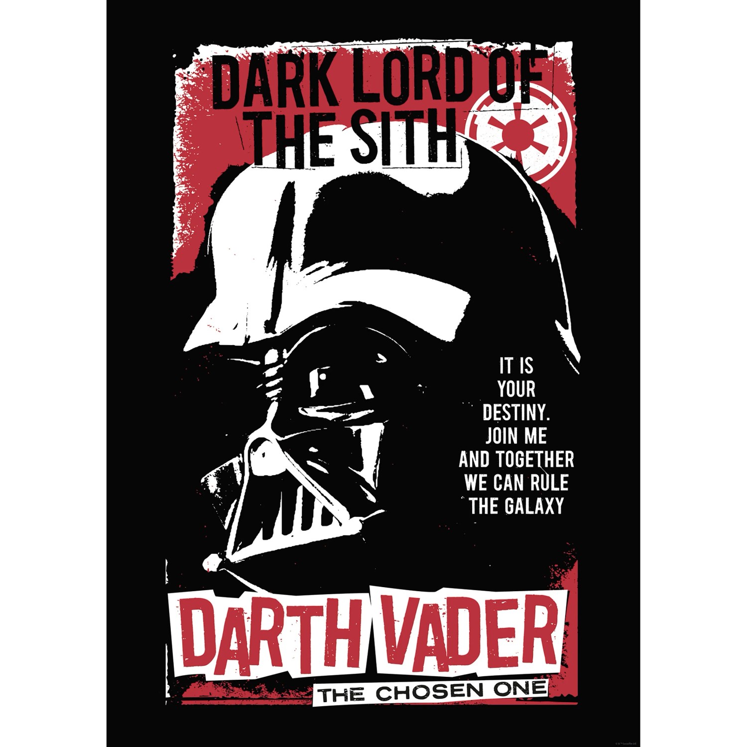 E-shop Komar Plagát Star Wars The Chosen One 50 x 70 cm