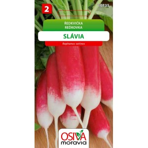 Balíček semien reďkovky 'Slávia', červeno-biele semená zeleniny do záhrady.