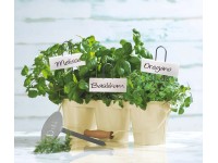 OBI Výsadbové štítky, biele, 5 ks