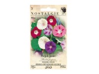 Nostalgie Povojník purpurový popínavý zmes Nostalgie Povojník purpurový popínavý zmes