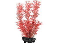 Tetra Rastlina do akvária Foxtail Red S 15 cm Tetra Rastlina do akvária Foxtail Red S 15 cm