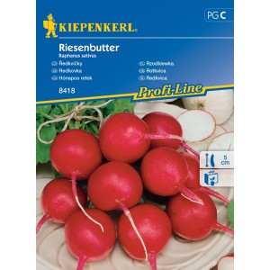 Balíček semien reďkovky 'Riesenbutter' od Kiepenkerl, červené, okrúhle reďkovky.