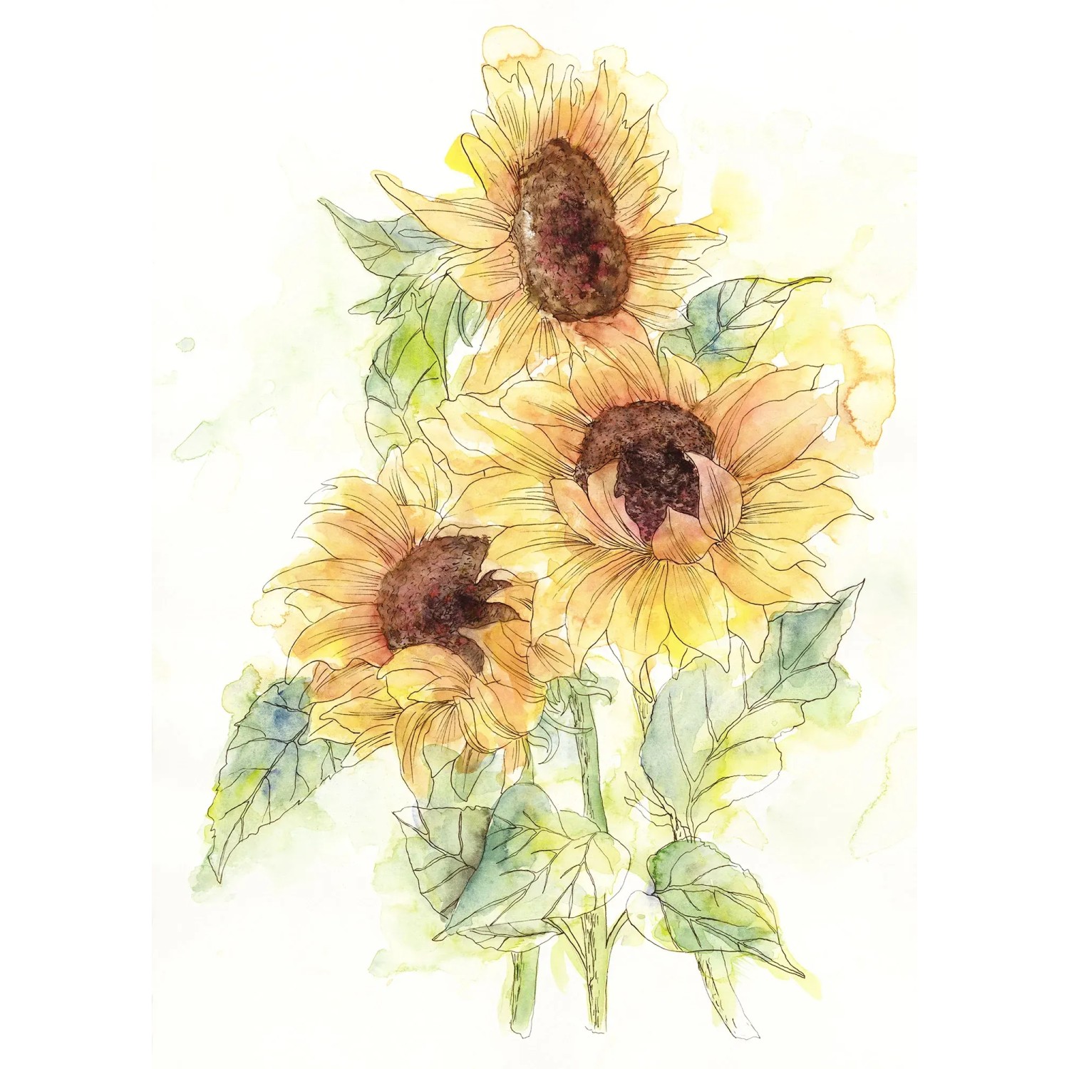 E-shop Komar Vliesová fototapeta Girasol 200 x 250 cm