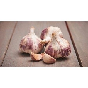 Strúčiky cesnaku a cibule na dreve na výsadbu.