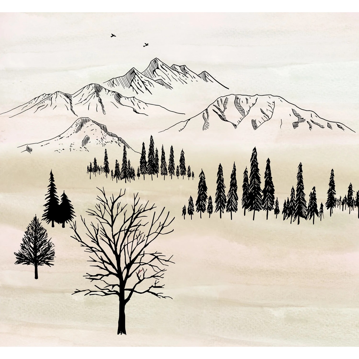 E-shop Komar Vliesová fototapeta Backcountry 300 x 280 cm