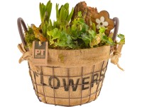 Aranžmán s rôznymi rastlinami kvitnúcimi na jar v koši priemer cca 25 cm