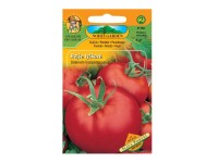 Rajčiak kolíkový SLÁVA PORÝNIA