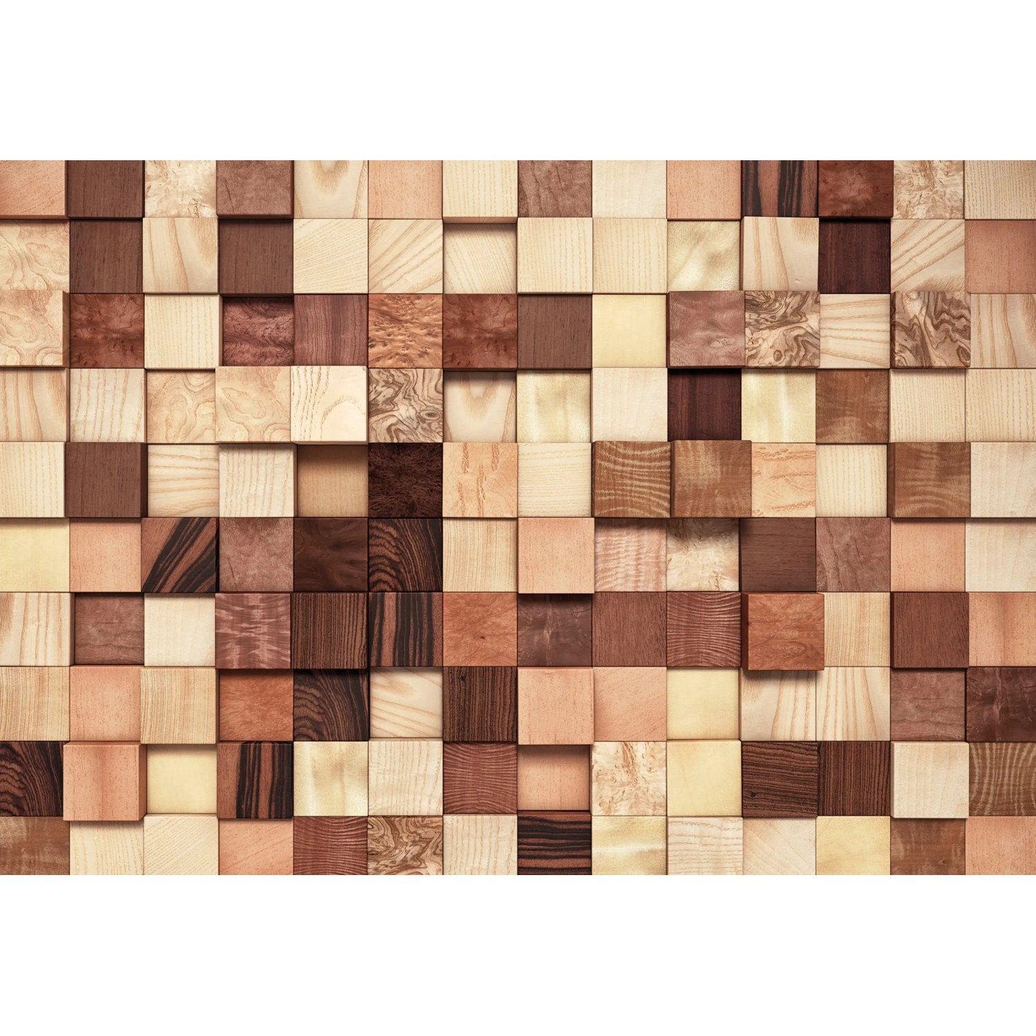 E-shop Komar Papierová fototapeta Lumbercheck, 368 x 254 cm