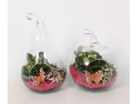 Rastlinný aranžmán v sklenenej nádobe priemer kvetináča cca 18 cm