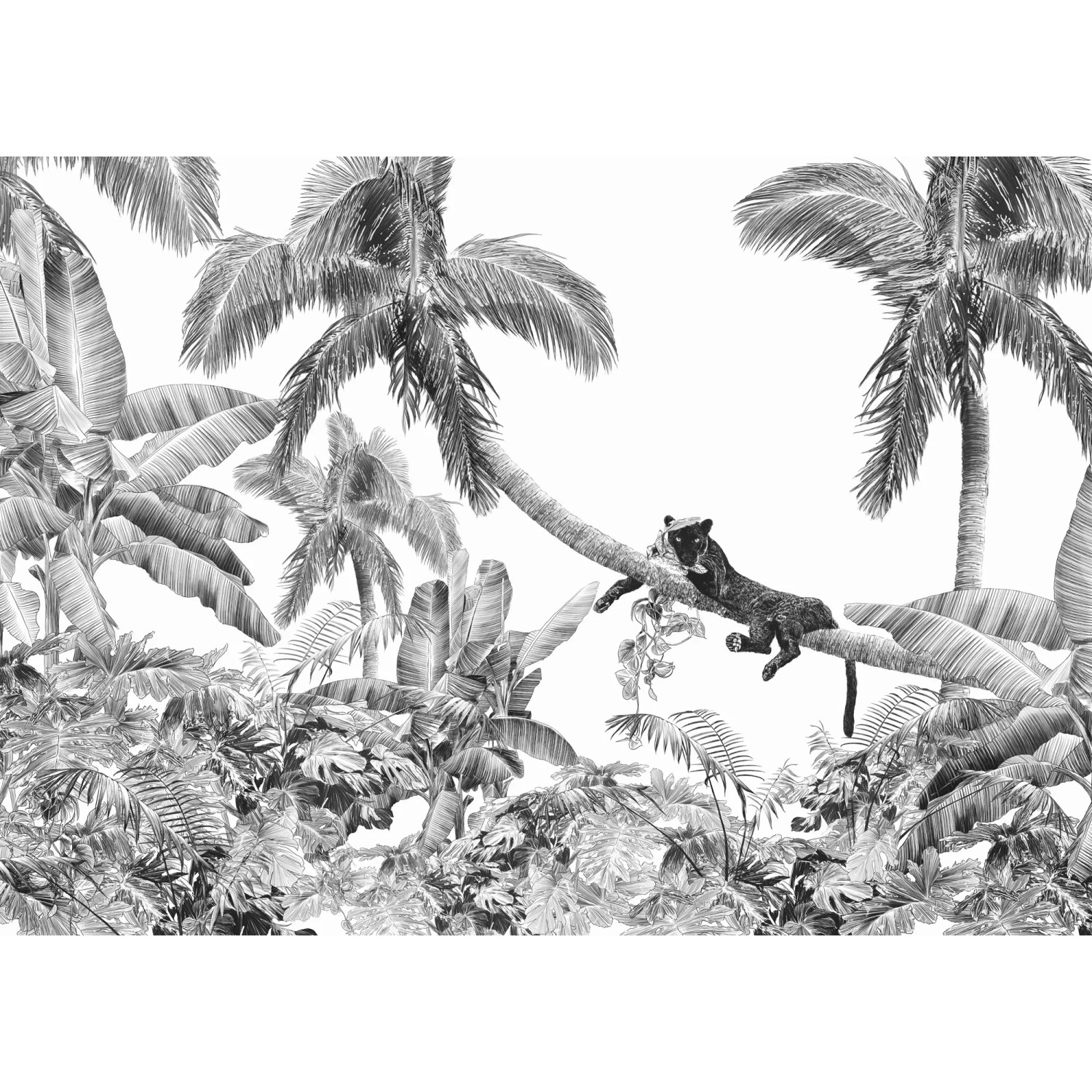 E-shop Komar Vliesová fototapeta Black Panther 350 x 250 cm