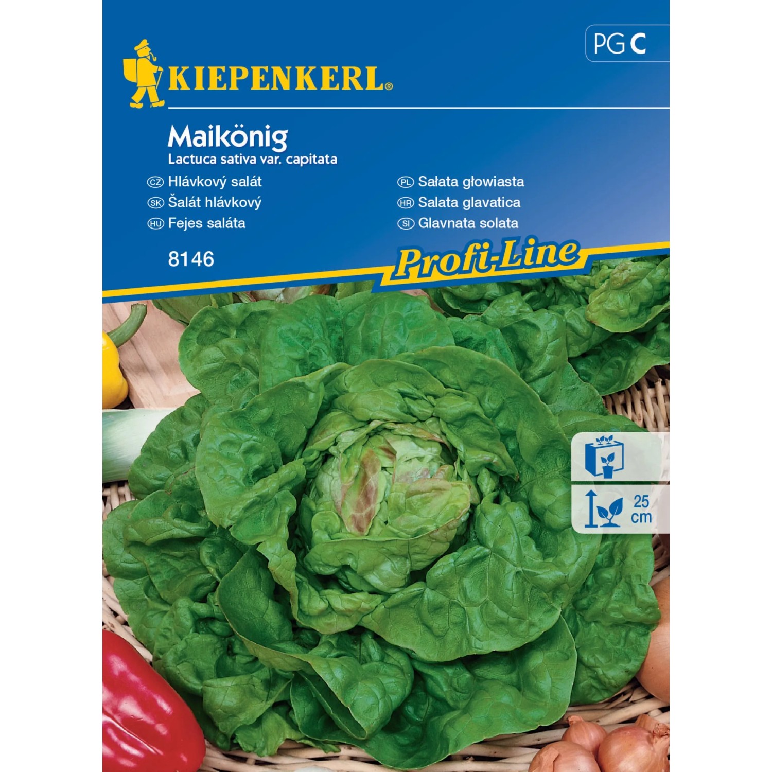 E-shop Kiepenkerl Semienka Hlávkový šalát May King