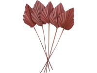 Sušené palmové listy Ancient Secrets terakota, 5 ks, 12-13 cm x 45-50 cm
