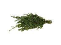 Zväzok vetví buxus 500 g