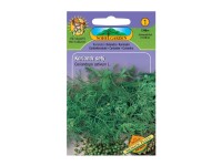Gardenie Semienka Koriander siaty