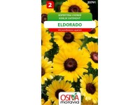 Semienka Králik siatinový Eldorado (Chrysanthemum segetum)