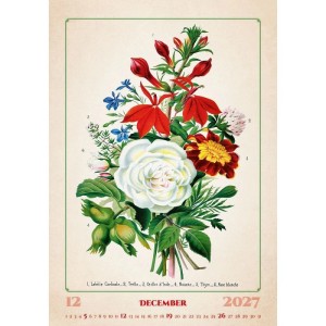 Helma 365 Nástenný mesačný kalendár 2027 Herbarium 31,5 x 45 cm