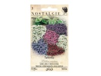 Nostalgie Lobulária prímorská zmes Nostalgie Lobulária prímorská zmes
