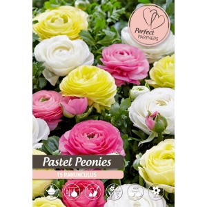 Ranunculus Pastel Peonies Mix: Cibuľoviny v pastelových farbách (žltá, biela, ružová).