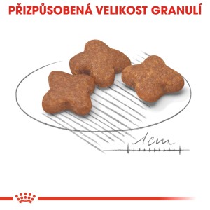Hnedé granule pre psov v tvare hviezdy na tanieri. Vhodné pre psov.