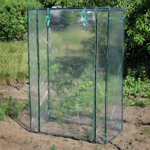 Skleník Floraworld 5 m² s fóliou a zeleným PVC rámom v záhrade.