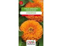 OSIVA Moravia Cínia daliokvetá - oranžová (Zinnia elegans)