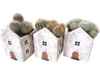 Aranžmán kaktusov v keramickom domčeku, pr. 11 x 20 - 25 cm