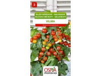 Semienka Rajčiak kríčkový balkónový Vilma (Solanum lycopersicum)