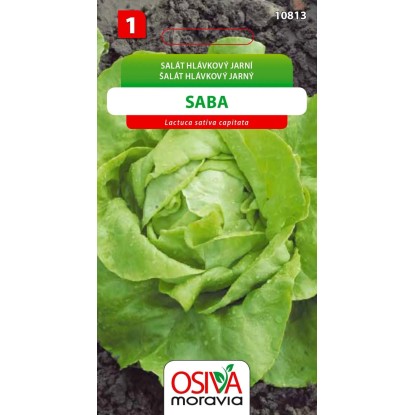 Aros Semienka Šalát hlávkový jarný Saba (Lactuca sativa capitata)