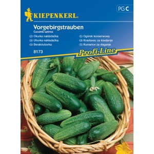 Balíček semien uhoriek Vorgebirgstrauben, zelené nakladačky v košíku.