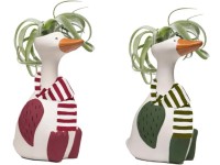 Aranžmán tilandsia v keram. kvetináči Chilly Goose