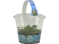 OBI Plávajúce rastliny v jumbo nádobe priemer kvetináča cca 18 cm