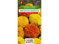 Semienka Aksametnica rovná, zmes žľtých a oranžových (Tagetes patula nana)