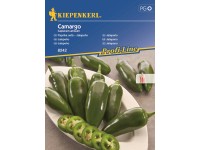 Kiepenkerl Paprika siata - Jalapeňo Camargo