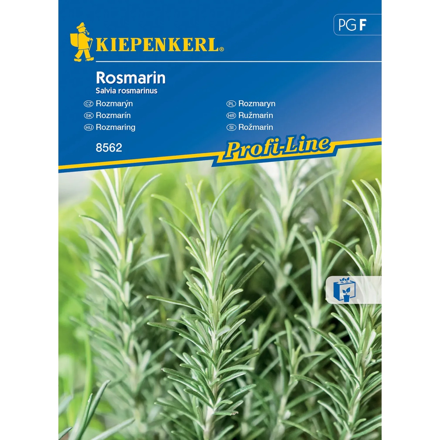 E-shop Kiepenkerl Semienka Rozmarýn