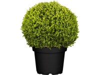 GROW by OBI Krušpán 