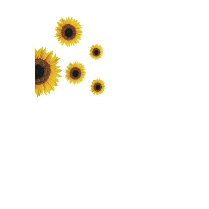 Crearreda Samolepiaca dekorácia Sunflowers