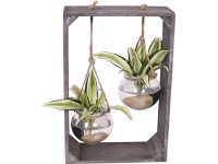 Aranžmán dracény v sklenenej guli priemer kvetináča cca 19 cm