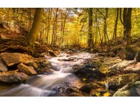 Bondecor Obraz, tlačené plátno Voda 70 x 110 cm