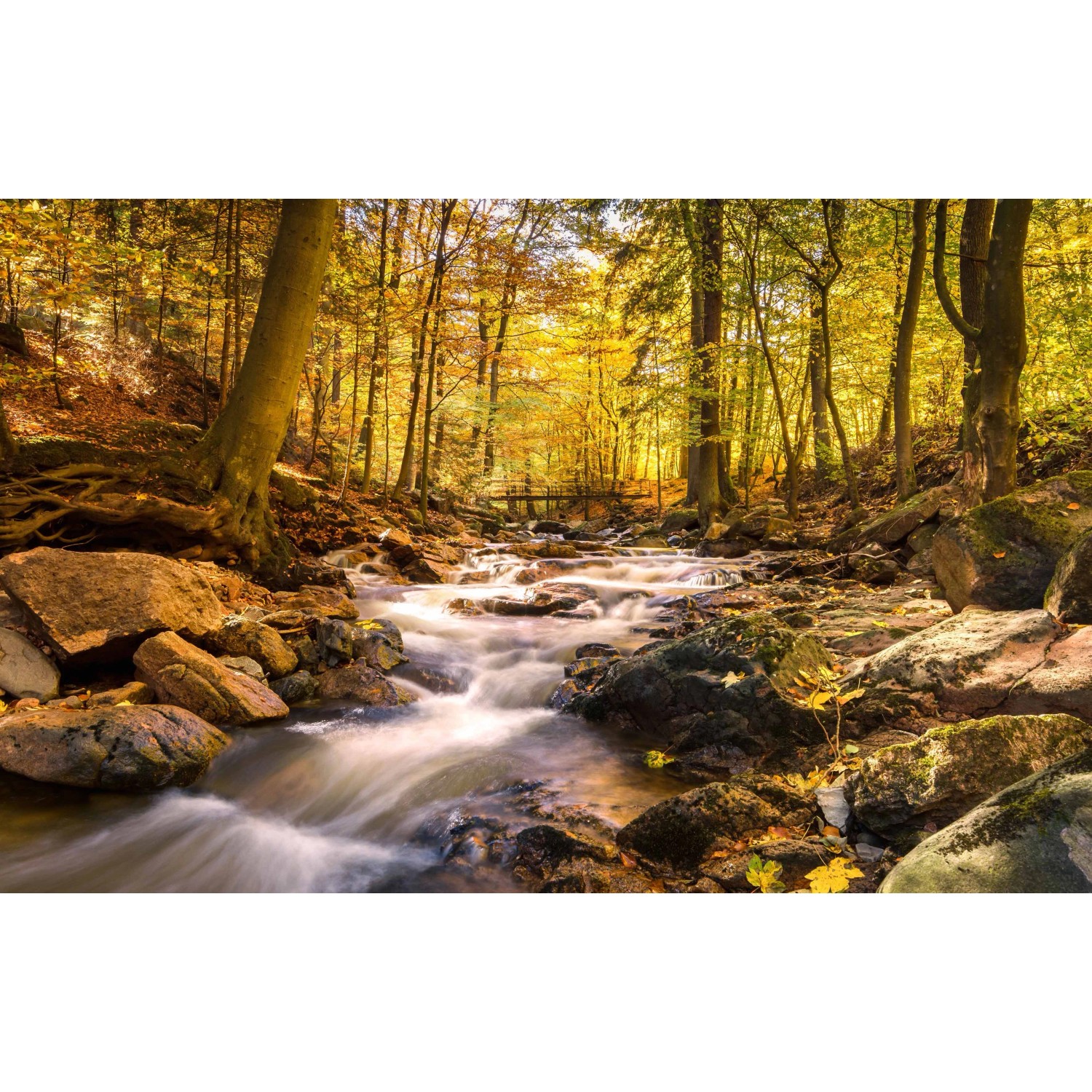 E-shop Bondecor Obraz, tlačené plátno Voda 70 x 110 cm