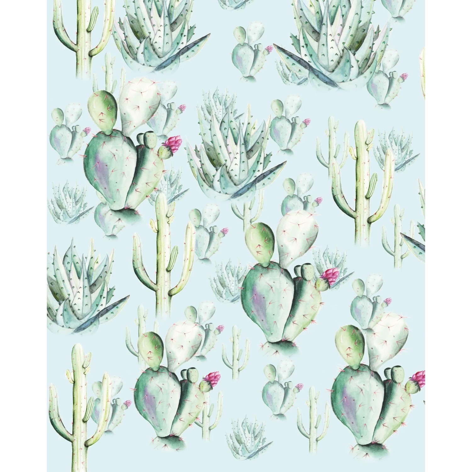 E-shop Komar Vliesová fototapeta Cactus Blue 200 x 250 cm