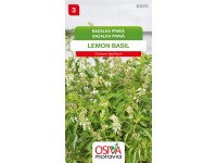Osiva Moravia Semienka Bazalka pravá Lemon Basil (Ocimum basilicum)