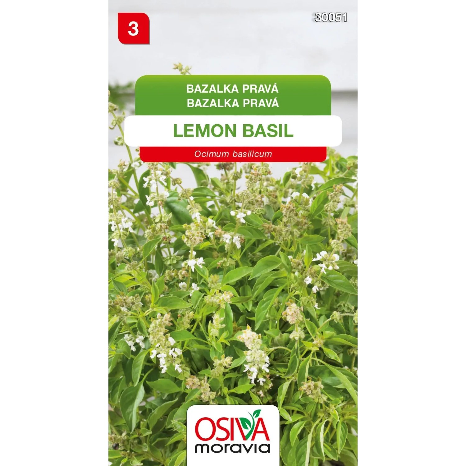 E-shop Osiva Moravia Semienka Bazalka pravá Lemon Basil (Ocimum basilicum)
