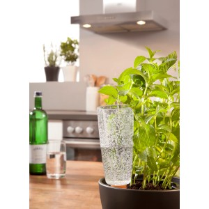 Zavlažovacia figúrka Scheurich Copa M, transparentná, 150 ml, v kvetináči.