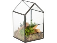 Aranžmán zo zelených rastlín v sklenenom domčeku priemer kvetináča cca 14 cm