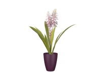 Mica Umelá rastlina Aloe Vera v kvetináči fialová pr. 30,5 x 43 cm